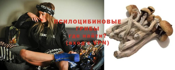 соль ск Абаза