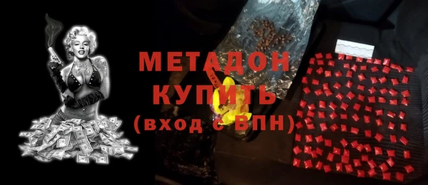 стаф Алзамай