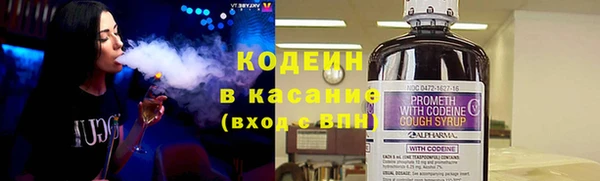 соль ск Абаза