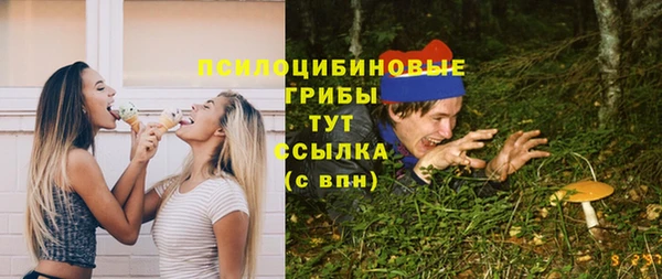 соль ск Абаза