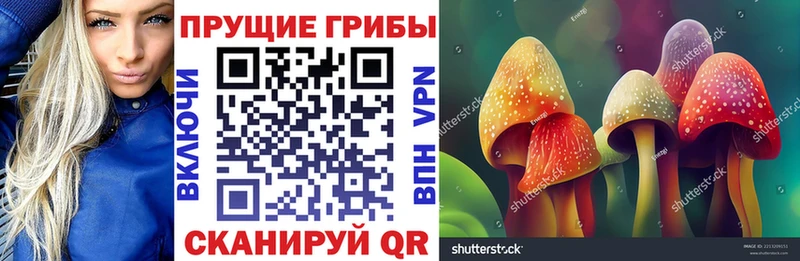 Псилоцибиновые грибы Psilocybe наркота Белый